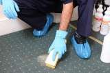 Carpet Cleaning Cleaning Slough 50 Richmond Crescent 