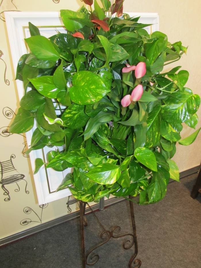                                 Tablouri vegetale of Metroplex Property Management SRL Calea Floreasca 169A - Photo 1 of 8