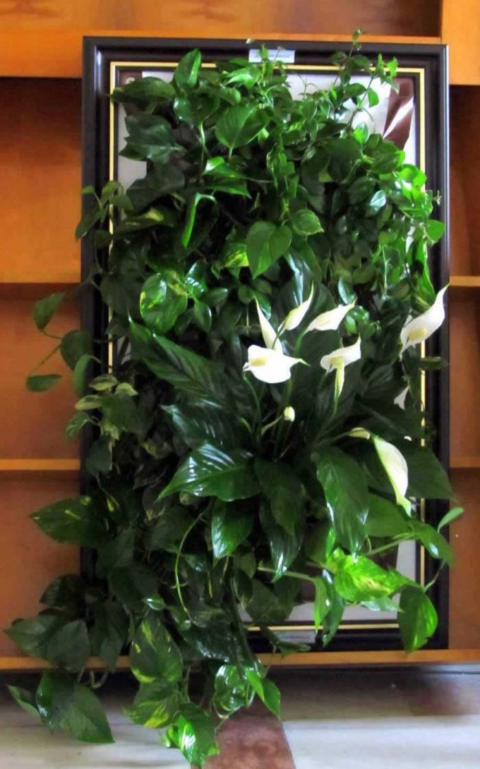  Tablouri vegetale of Metroplex Property Management SRL Calea Floreasca 169A - Photo 5 of 8