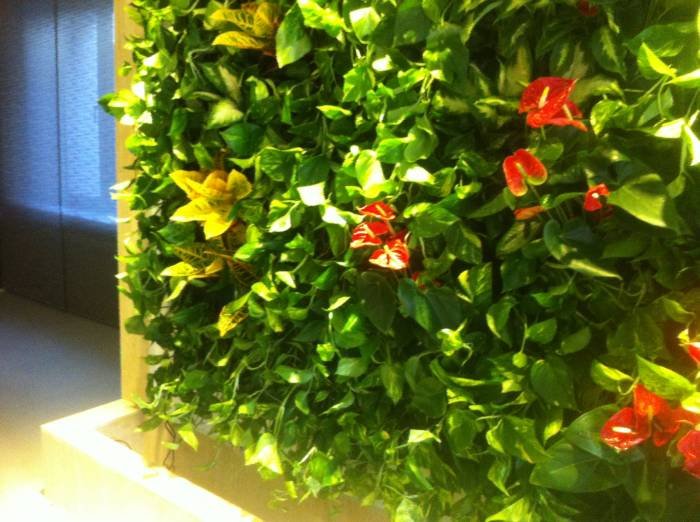  Pereti Vegetali - Gradini Verticale of Metroplex Property Management SRL Calea Floreasca 169A - Photo 11 of 18