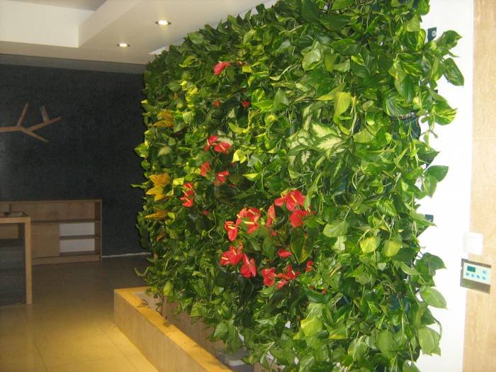  Pereti Vegetali - Gradini Verticale of Metroplex Property Management SRL Calea Floreasca 169A - Photo 9 of 18