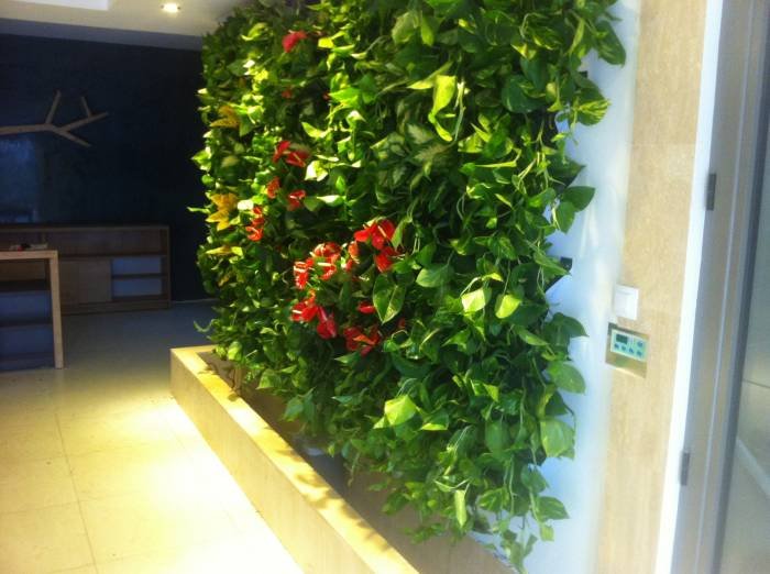  Pereti Vegetali - Gradini Verticale of Metroplex Property Management SRL Calea Floreasca 169A - Photo 7 of 18