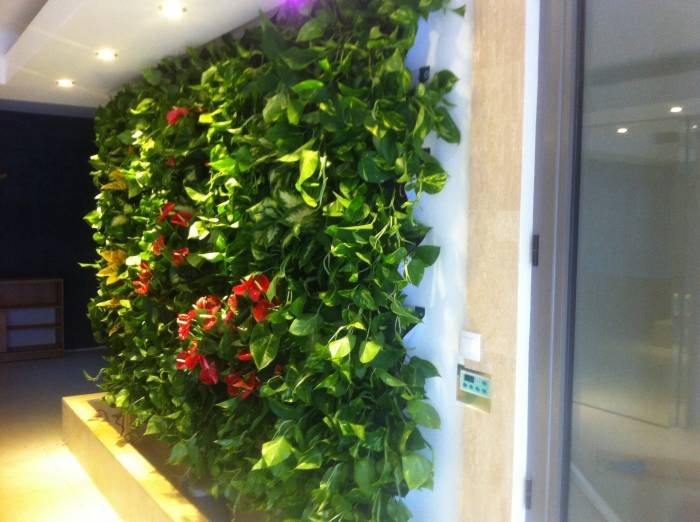  Pereti Vegetali - Gradini Verticale of Metroplex Property Management SRL Calea Floreasca 169A - Photo 4 of 18