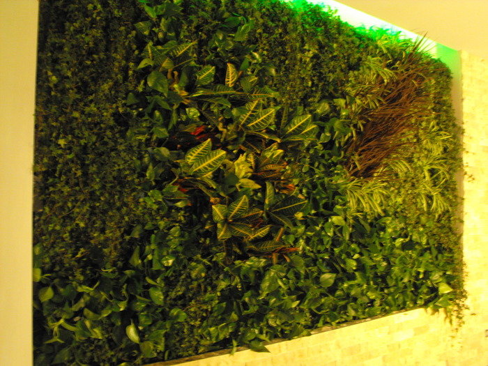  Pereti Vegetali - Gradini Verticale of Metroplex Property Management SRL Calea Floreasca 169A - Photo 10 of 18