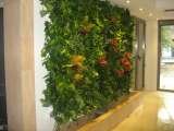  Metroplex Property Management SRL Calea Floreasca 169A 