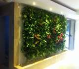  Metroplex Property Management SRL Calea Floreasca 169A 