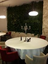  Metroplex Property Management SRL Calea Floreasca 169A 