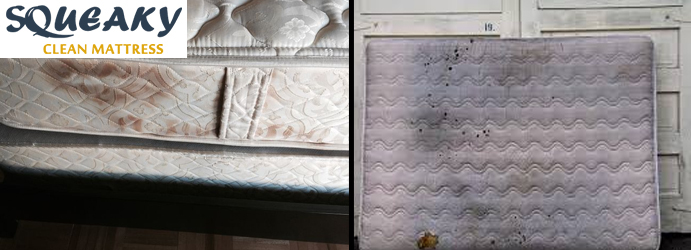  New Album of Squeaky Mattress Cleaning Adelaide Adelaide - Photo 2 of 3