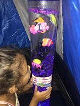 Sunsationall Kidz Gym, Orlando