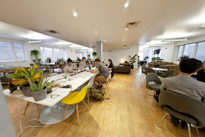  Profile Photos of Electric Brain 20 Camden St., Suite 200 - Photo 3 of 7