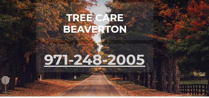  Profile Photos of Tree care Beaverton 4550 SW Betts Ave1442 - Photo 1 of 1