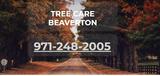Tree care Beaverton, Beaverton