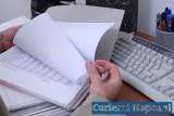 Menus & Prices, AUDIT FINANCIAR SI EXPERTIZA CONTABILA, sector 1