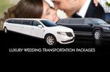 Black Tie Executive Limo, Newmarket