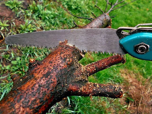  New Album of Tree Service Murfreesboro TN 156 Millwood Dr - Photo 2 of 9