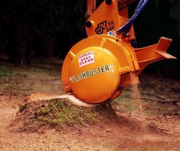  New Album of Tree Service Murfreesboro TN 156 Millwood Dr - Photo 1 of 9