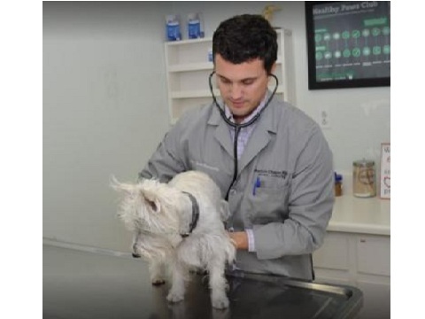  Profile Photos of Patton Chapel Animal Clinic 1665 Montgomery Hwy - Photo 1 of 4