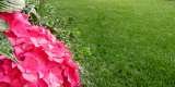 Menus & Prices, Blades Artificial Grass - Artificial Grass Suppliers and Installation Specialists, Brighton