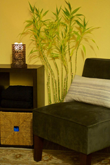 Alchemy Wellness, Portland