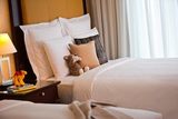  Marriott Marquis City Center Doha Hotel Omar Al Mukhtar Street, Area 61, Al Dafna, Street #850, PO Box 25500 