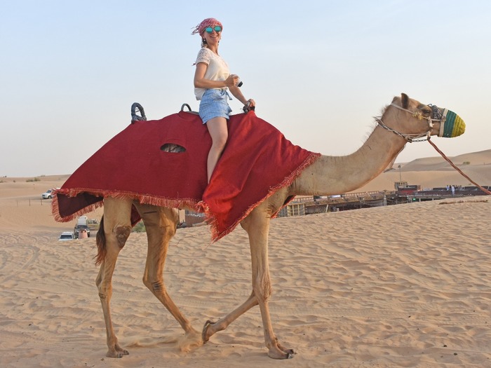 Profile Photos of Adventure Planet Tourism LLC Al Huda Building, Shaikh Rashid Road, 208 -Al Garhoud - United Arab Emirates - Photo 6 of 12