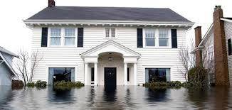  Profile Photos of Water Damage Miami 247 2435 SW 23rd Terrace - Photo 1 of 1
