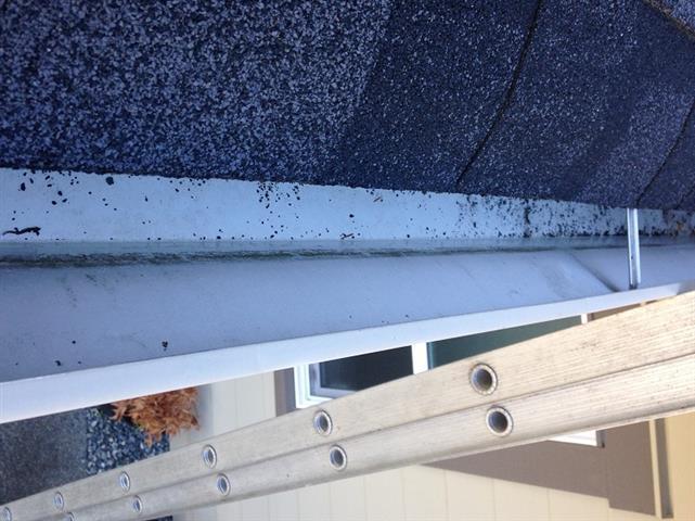  Profile Photos of Gutter Repair & Install Victoria #2, 2893 Young Place - Photo 2 of 4