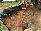 Japanese Knotweed Surveys  Devon, Southwest Japanese Knotweed Removal Cornwall Devon Somerset, Truro