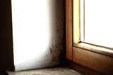 Mold Removal Experts of Las Vegas, Las Vegas