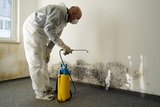 Mold Removal Experts of Las Vegas, Las Vegas