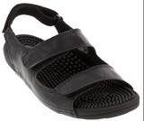  Happy Feet Plus-Tampa Store 109 South Dale Mabry Highway 