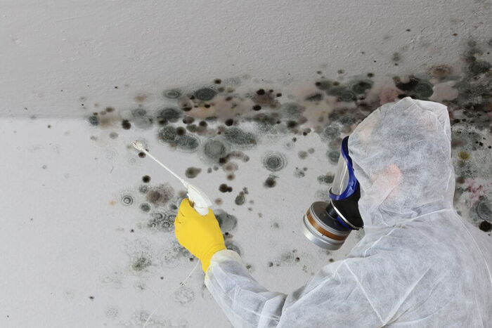  Profile Photos of Water Mold Fire Restoration of Chicago 3521 N. Wilton Ave - Photo 3 of 4