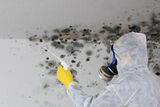 Water Mold Fire Restoration of Chicago, Chicago