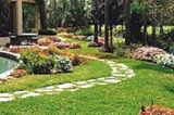 Hydroseeding Austin, Georgetown