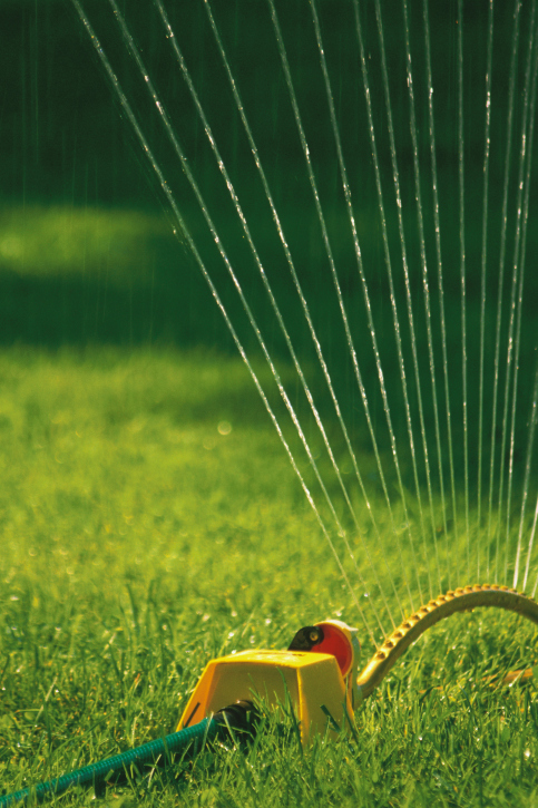  Profile Photos of Mark Davis Landscape Architects McKinney - Photo 1 of 1