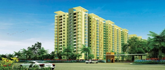  Profile Photos of Kamp Developers Aero Studio S-1, II Floor, Centric Plaza, Sector â€“ 11, Pkt â€“ 4, Plot No â€“ 8,Dwarka, Delhi, 110075, India - Photo 1 of 1