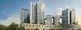 Tata New Project Mumbai, Mumbai