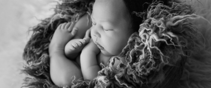  Profile Photos of Little Orange Photography -  Maternity Photographer Gold Coast 11 Costelloe St - Photo 3 of 9