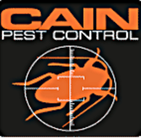  New Album of Cain Pest Control 3219 Yonge St - Photo 1 of 1