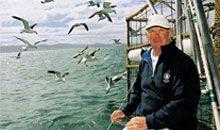  New Album of Great White Shark Tours 8 Swart St - Photo 2 of 6