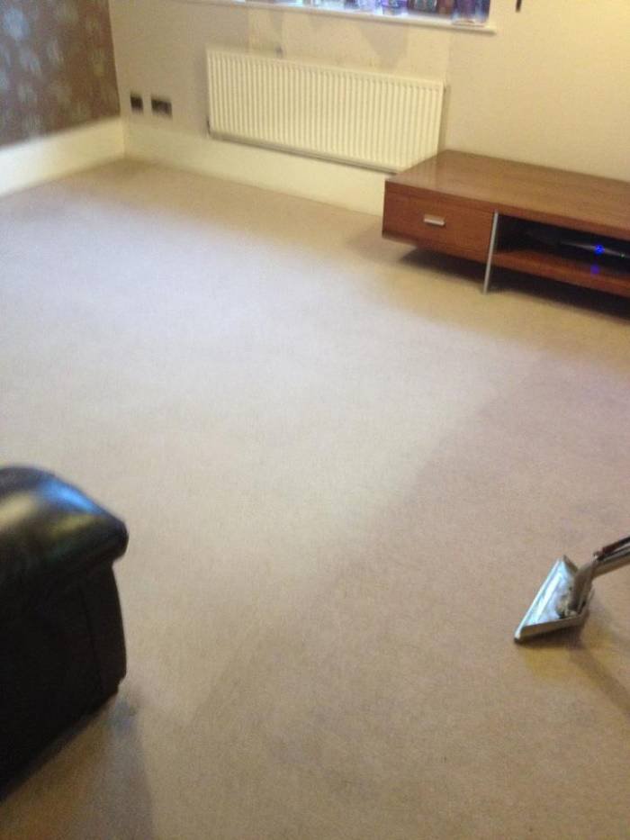  Profile Photos of Grant Cleaning (Sussex) Limited 7 Park View Close - Photo 2 of 30