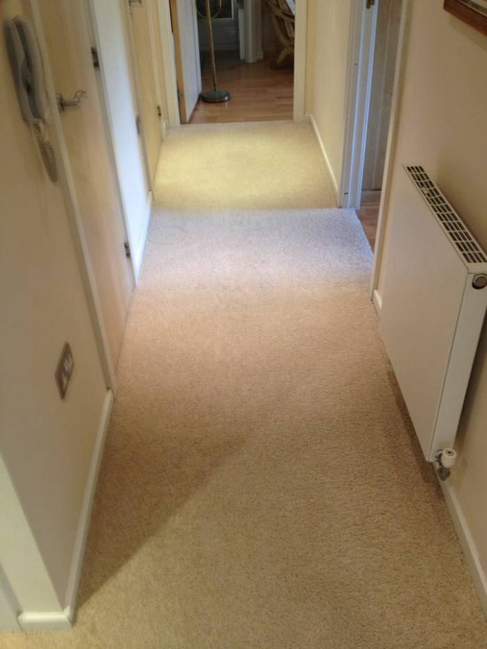  Profile Photos of Grant Cleaning (Sussex) Limited 7 Park View Close - Photo 5 of 30