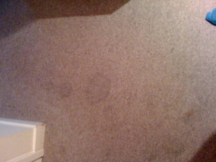  Profile Photos of Grant Cleaning (Sussex) Limited 7 Park View Close - Photo 15 of 30
