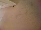 Grant Cleaning (Sussex) Limited, Peacehaven