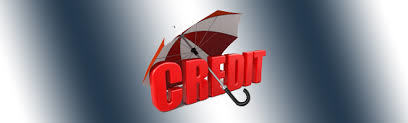  Profile Photos of Credit Repair Services 931 W 1st Street - Photo 1 of 4