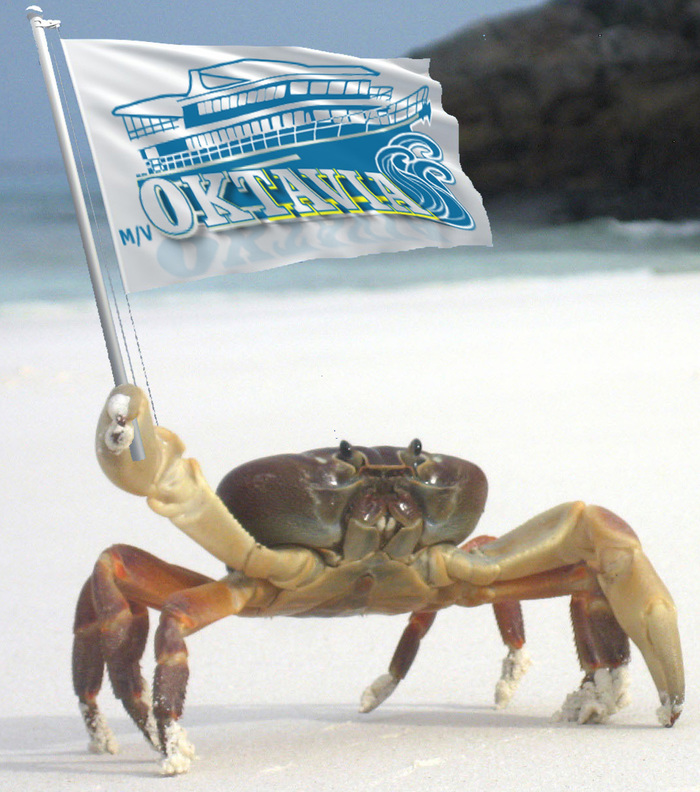 The_Similan_Islands Profile Photos of Oktavia Dive Center Co., Ltd 5/21 Moo. 7, Khuk Khak - Photo 1 of 2