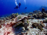  Oktavia Dive Center Co., Ltd 5/21 Moo. 7, Khuk Khak 