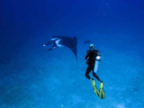 Instuctor Jukka & Giant Manta Ray Oktavia Dive Center Co., Ltd 5/21 Moo. 7, Khuk Khak 