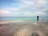 Oktavia_Dive_Center, Oktavia Dive Center Co., Ltd, Takuapa