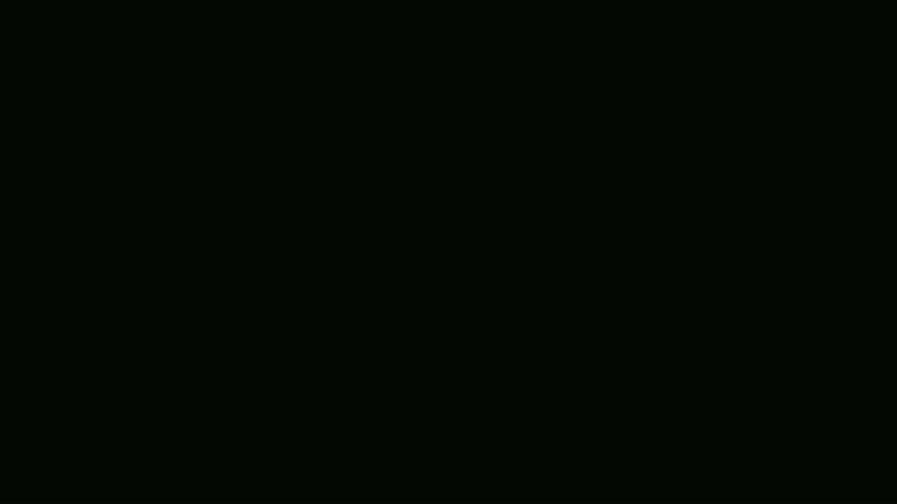 MV_Oktavia_Fly_Through.mp4